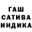 Конопля сатива Hugo Ferrada