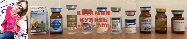 дживик Гусь-Хрустальный