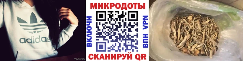 Галлюциногенные грибы Cubensis  Купить закладки  Исилькуль 